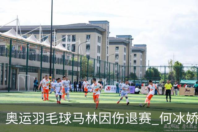 奥运羽毛球马林因伤退赛 何冰娇进决赛将战安洗莹