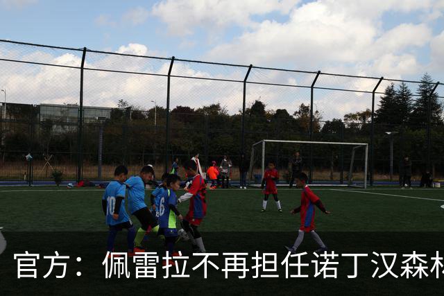 官方：佩雷拉不再担任诺丁汉森林主帅