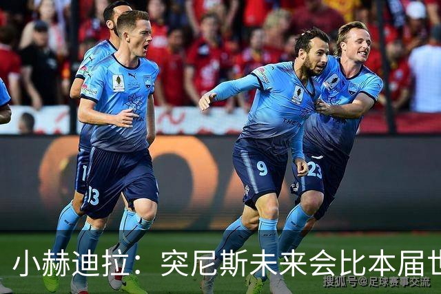 小赫迪拉：突尼斯未来会比本届世界杯更好 批评？我已经付出全力